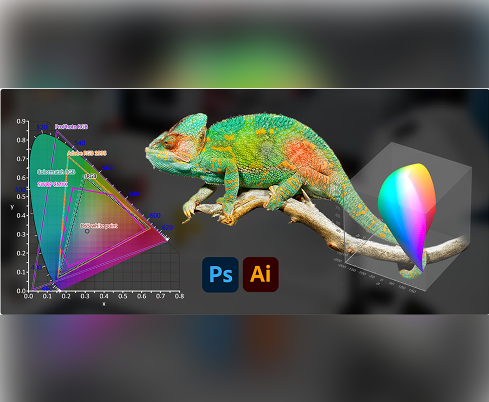 مدیریت رنگ در چاپ افست – ونتا استودیو